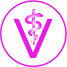 criacao-site-para-veterinario