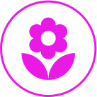 site-para-floricultura